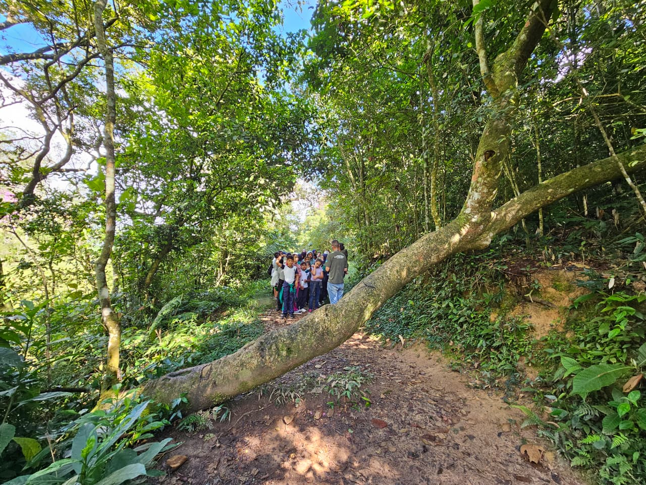 Ribeirão Pires se consolida como refúgio de calmaria a poucos minutos de São Paulo