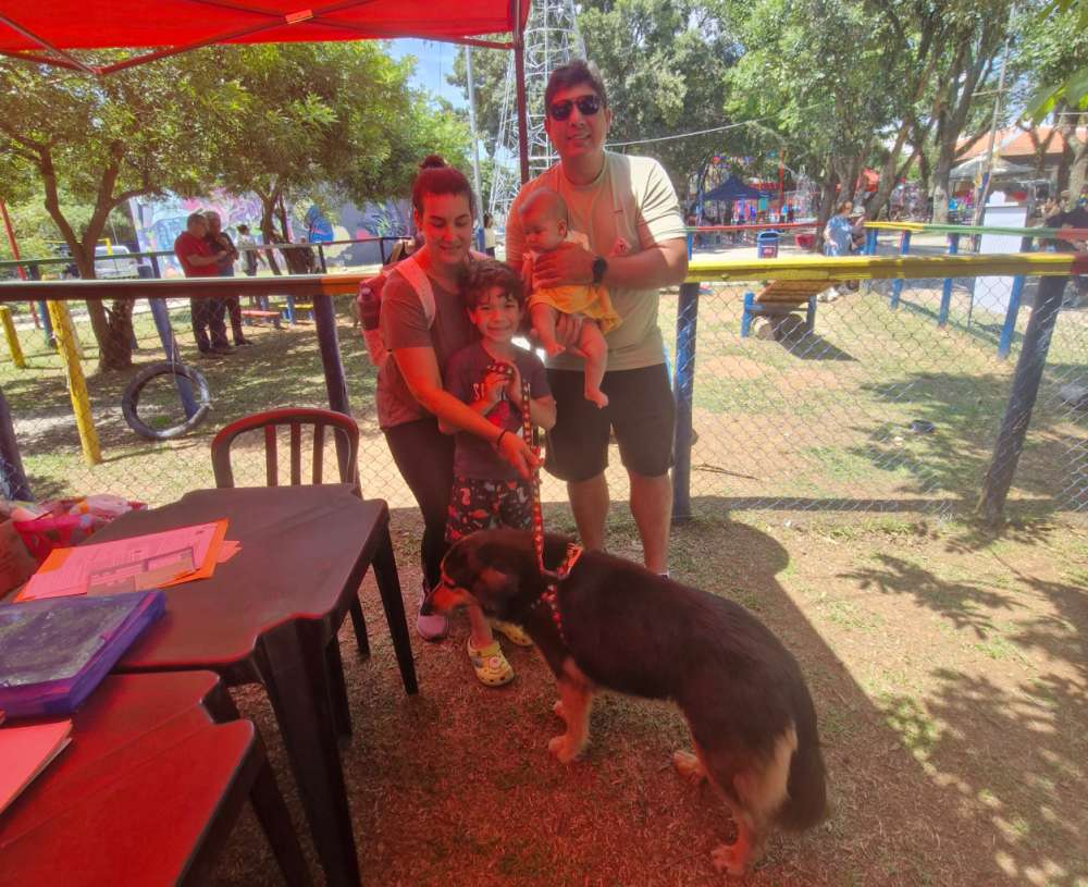 Mauá incentiva a microchipagem de animais domésticos para controle populacional e cuidados sanitário