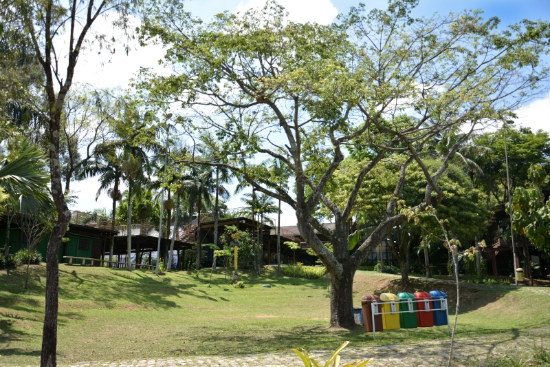 Emea Parque Tangará impacta 58 mil pessoas com Educação Ambiental em 2025