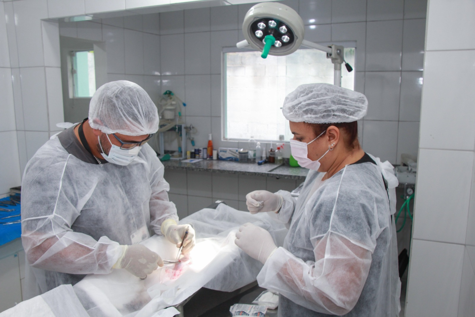 Programa Castra Mais SP chega a Ribeirão Pires com mutirão especial de Carnaval