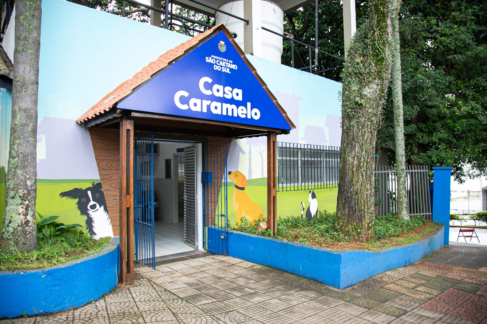 Casa Caramelo amplia a oferta de serviços de Saúde e Bem-Estar Animal em São Caetano