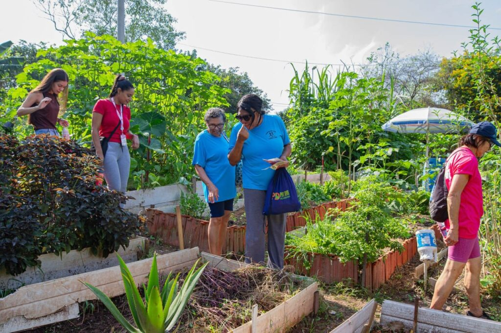 Roda de conversa leva alunos do Caminhando Bem à horta comunitária Oito de Dezembro