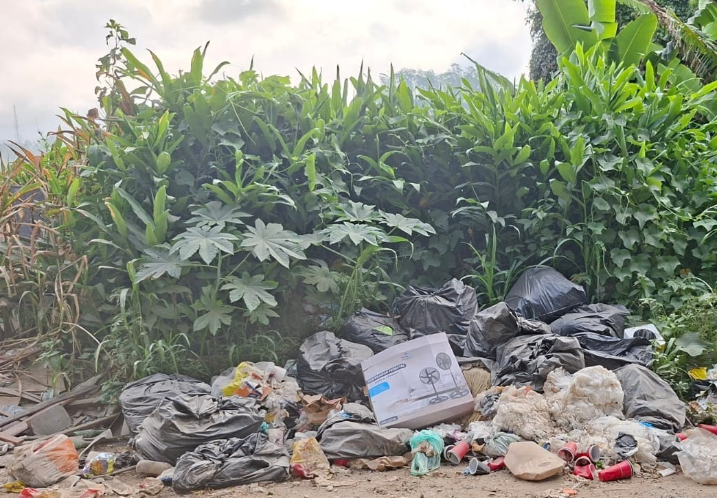 Zeladoria intensifica serviços e remove mais de mil toneladas de descarte irregular no primeiro bimestre de 2026