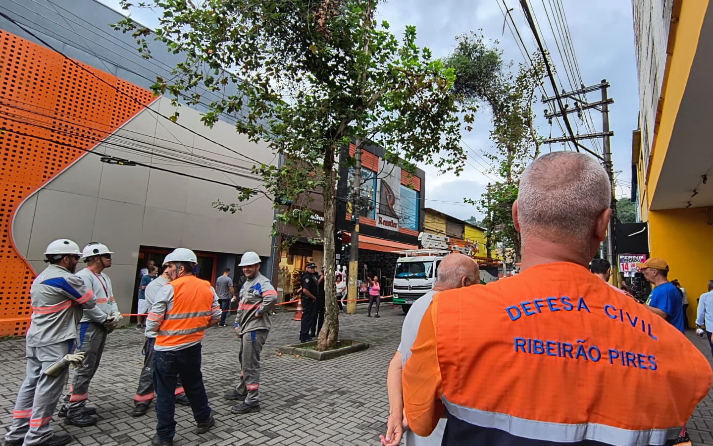 Prefeitura de Ribeirão Pires inicia processo para replantio de árvores da Rua do Comércio