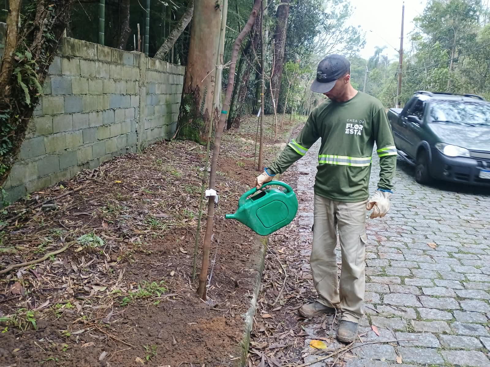 Ribeirão Pires amplia arborização da Avenida Palmira com plantio de 28 mudas nativas