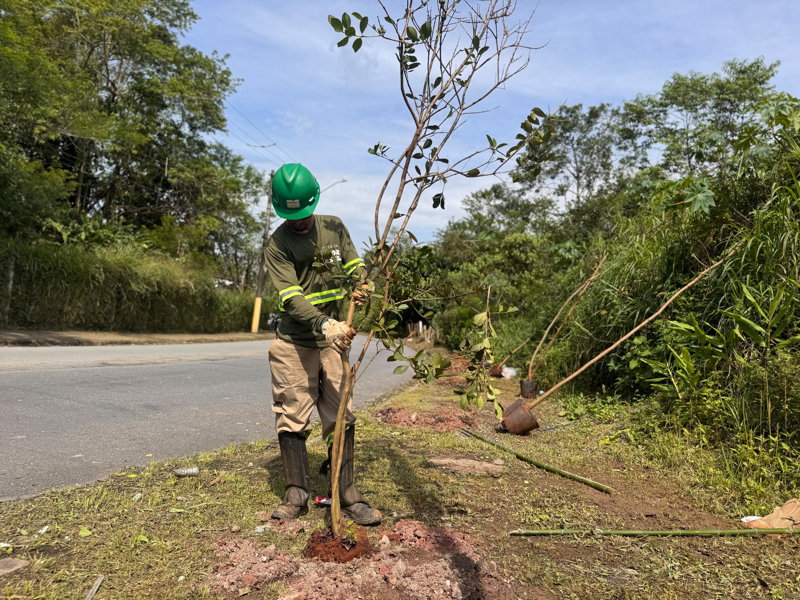Ribeirão Pires avança com plantio de espécies nativas pelo programa Árvore Mais Segura